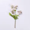 Fleurs décoratives couronnes fleur pressée naturelle pour la résine fagopyrum esculentum séché de bricolage de téléphone bijoux bijoux canlde savon scrap8820169