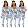 Echoine Women Ruffle Print Sheer mesh Two Piece Set Spring 2021 Sexy Club Outfits Crop Top and Pants Suit Matching Party Sets Y0625