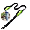 dog leash with two handles