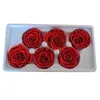 Ghirlande di fiori decorativi 6 / scatola 5-6 cm Grado B Rosa fresca Vita eterna Qixi San Valentino Compleanno Regali fai da te Natale Materie creative