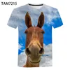 Pferd Design T-shirt Männer Sommer 3D Casua Lustige urbane Kleidung Übergroße Kinder Harajuku Nette Tier Top Herren T-Shirts
