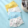 Children's Underwear for Kids Cotton Toddler Baby Panties Shorts Cartoon Dinosaur Print Underpants Teenage Boxers 4pcs/pack 210622