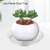 Pots de jardinières en plastique Transparent, 24 pièces, soucoupes de fleurs pour plantes d'intérieur, coussins avec étiquettes