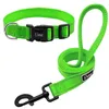 Dog Collars & Leashes Didog Reflective Collar Pet Walking Leash Nylon Tracking Leads For Small Medium Dogs 4 Colors