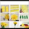 And Arts, Crafts Gifts Home & Garden900*4Dot5Cm Decorative Origami Crinkled Crepe Paper Craft Diy Flower Make Wrapping Fold Scrapbooking Part