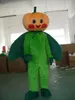 Costume da mascotte di zucca Cartone animato di verdure Personaggio a tema anime Festa di carnevale di Natale Costumi fantasia Abbigliamento da esterno per adulti