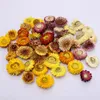 100pcs Real Daisy Chrysanthemum Preserved Flower Dried Specimen Diy Bookmark Candle Card A Level Home Decor Natural Gerbera Head 26186800