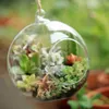 10 шт. Очистить декор шар глобус формы прозрачный подвесной стеклянный ваза цветок растений дома сад шоу