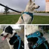 Truelove Reflective Pet Puppy Large Dog Harness per cani di piccola taglia No Pull Vest Strap Pitbull Pug Beagle bull terrier 211022