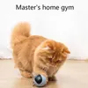 Cat Toy Smart Interactive Cat 360 Degree Self Rotating Rolling Ball With Led Light Toys Ball Funny Toy Motion Activated Pet Ball 210929