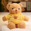 Dust Coat Bear teddy plush toys cuhk girl a Birthday present Lovely Soft Eva do Manual Work is Delicate 38156161497