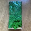 Musgo de rena preservada padrão atualizada para arranjos florais de DIY em cor verde espumoso tipo texturizado líquen - 500 gramas 210624