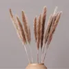 30 pc Ensemble Naturel Phragmitesreed Flowersbulrush Bouquet Grand Séché Pampa Herbe De Mariage Décoration Maison Automne Décor