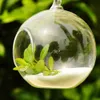 10 Uds. Florero de cristal colgante transparente con forma de globo, decoración transparente, flores, plantas, espectáculos de jardín y hogar