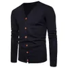 Maglione lavorato a maglia da uomo primavera autunno uomo nuovo tinta unita scollo a V maglione a maniche lunghe cardigan top casual taglie forti abbigliamento uomo