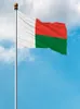 Madagaskar sjunker National Polyester Banner Flying 90 * 150cm 3 * 5ft flagga Över hela världen utomhus kan du skräddarsy