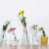 Nordic Thicken Glas Vase Transparent Grå Rosa Vardagsrum Blomma Bar Heminredning Torkad Flaska Wazon Gift 211215