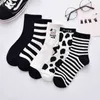 5 Pairs Cute Cow Bear Print Women Long Socks Cotton Solid Color Ankle Autumn Casual Lady Girl Short
