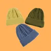 Women Girl Luxury winter hat Twist Pattern Caps Candy Colors Hats Thick Warm Bonnet Beanie Soft Knitted Beanies