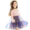 Süße Mädchen rosa Kleid Herbst Winter Neue Mode bestickte blumblaue Tutu Kinder Kleidung Best Party Kindermädchen Kleid Q0716