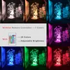 Bedside 3D Lamp LED Acrylic Night Light Touch Sensor Genshin Impact Nightlight Eula Figure Kids Gift App Control1677338