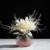 Dry Flower Natural Rabbit Grass Dried Feather Grass Preserved Flowers Party Wedding Bouquet Flower Plant Home Office Decoration 210624