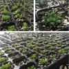 10 stks 50/72/128/200 Gaten Tuin Nursery Pot Lade voor Succulent Bloem Plantaardige Zaad Grow Box Plant Seedling Propagation Lade 210615