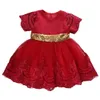 Lively Kids Toddler Baby Girl Princess Back Bow Sequins Wedding Party Tutu Dress Q0716