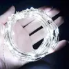 3aa Battery Operated LED Light Light Copper Silver Wire Fairy Lights for Holiday Wedding Party Christmas Drops Lamp6735578