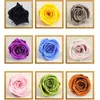 12 Pçs / lote High-End Preservada Flores Imortal Rose Flor 3-4cm Diâmetro Dia Das Mães Dia Presente Eterno Vida Flor Caixa de Presente de Material 210317