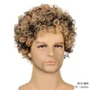 変態カーリーメンズ合成ウィッグミックスカラーPelucas Perruques de Cheveux HampainsシミュレーションヒトレミーヘアウィッグWig-M08