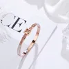 Nieuw ontwerp Micro Pave Rvs Bangle Rose Gold Love Polsband Manchet Bracelet