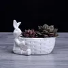 Porselen Bunny Heykelcik Etli Bitki Pot Dekoratif Masaüstü Seramik Tavşan Çiçek Ekici Bahçe Süs Craft Aksesuarları 210615