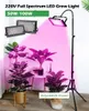 전체 스펙트럼 LED 성장 빛 50 100w 스탠드 phyto 램프 스위치 스위치 AC110 220V 온실 수경 식물 꽃 식물 성장 조명 램프