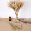 Naturtorkade blommor Bröllop Dekorativa Real Pampas Reed Whisk Grass Artificial Flower Bunch Hem Växt Ornament