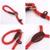 Laisse pour animaux de compagnie pour harnais de collier de chien SET FORMATION NYLON FORMATION SEMPLES COLLARS SOLIDES