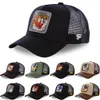 Daffy Coyote MH Snapback Taz Road Bunny Baseball Cap Regulowane kobiety mężczyźni anime kreskówka kapelusz kropka Drop9210174