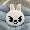 Skzoo Plush Toys Pillow Kawaii Stray Kids Pelf Aiugh Plashies Plashies Pillow Toy Pollow Dolls Regali per bambini 3840 cm 2203045971905