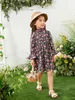 Toddler Girls Floral Flounce Sleeve Dress SHE