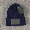 Winter Hip Hop Hat Couple Spring and Autumn Fashion Casual Lovers Knitted Hat Thickened Warm Outdoor Street Hats Multicolor Available