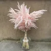 20 tiges couleur rose grande taille fleur vraie pampas séchée herbe de mariage fleur de mariage plantes naturelles maison décor d'automne