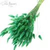 150pcs / lot fleurs séchées décor à la maison plantes naturelles bouquet lagurus ovatus mariage maison décoration de pâques colorées vraies fleurs 211027