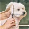 Fournitures de toilettage pour chiens Pet Home Garden Kit de ciseaux en acier inoxydable avec pointe ronde de sécurité Amincissement Cisailles courbes droites Peigne pour Jk2012Kd
