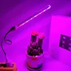 5V LED GROW LIGHT USB Phyto Lamp Full Spectrum Fitolampy IR UV Röd Blå För Växter Fröplantor Blomma Inomhus Fitolamp Växt Box W220312