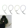 Dog Collar Leashes 2021 år Pet Wrapped Steel Wire Leash, matchad sugkopp att använda, fixa hundar för grooming, blåser hår, färg rand