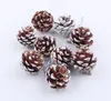 Christmas Decorations 9pc/bag Christmas Tree Decoration Pendant Natural Pine Cone Dyed White Paint Ornament JJA9487