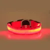 Halsbalsers Leidingen lichten kraag USB oplaadbaar LED-huisdier
