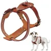 large leather dog harnesses
