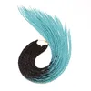 Estensioni dei capelli sintetici da 22 pollici Sfumatura di colore Trecce a due ciocche 2 sfumature di colori Nero puro Due ciocche Parrucca capelli sporchi con trecce all'uncinetto WH0523