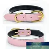 Corolful Designer New PU Leather Soft Padded Small Dog Collar Pet Puppy Cat Perro Collars with Strong Buckle for dogs Pitbull Factory price expert design Quality